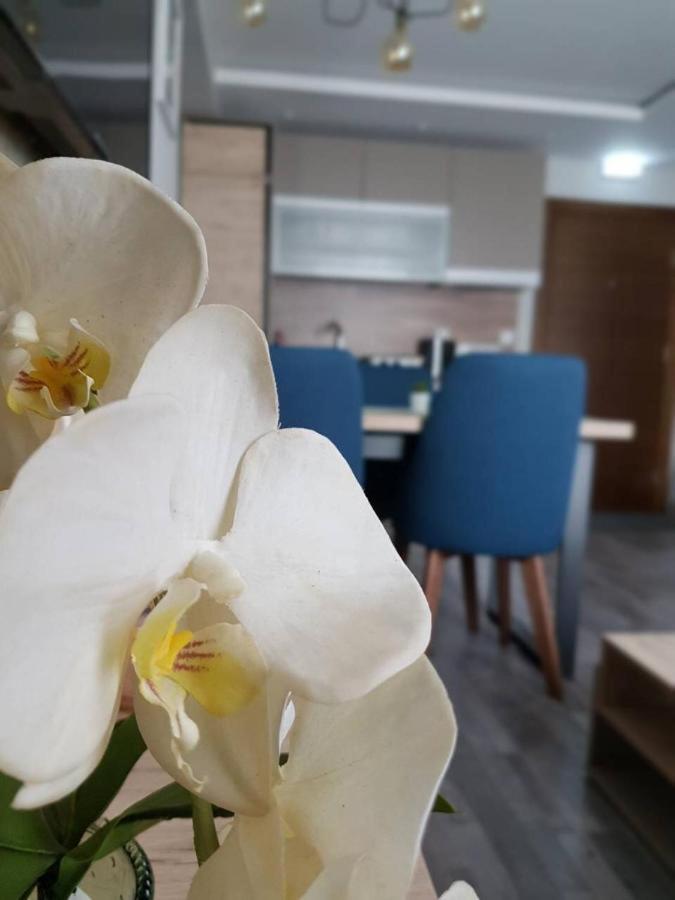 Apartman Premier 32 Milmari Копаоник Екстер'єр фото